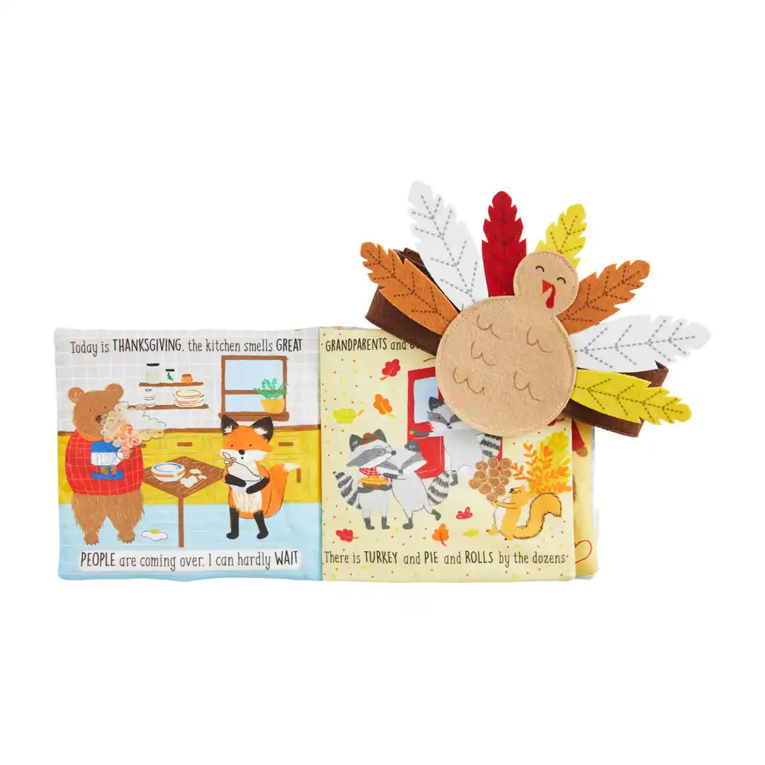 It’s Turkey Day book