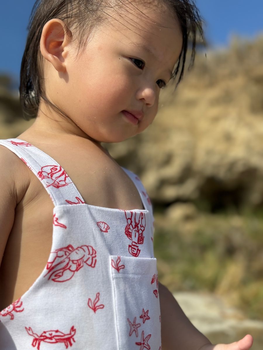 Sea life and Crawfish Printed Overalls