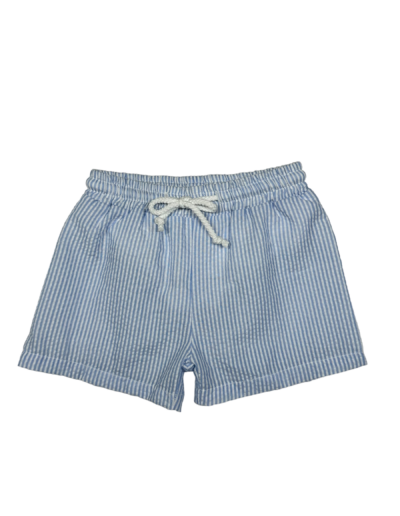 Blue Stripe Swim Trunks