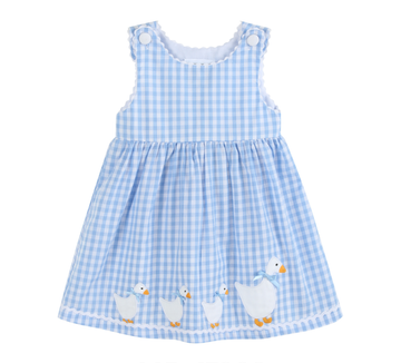 Blue Gingham Goose A Line Dress