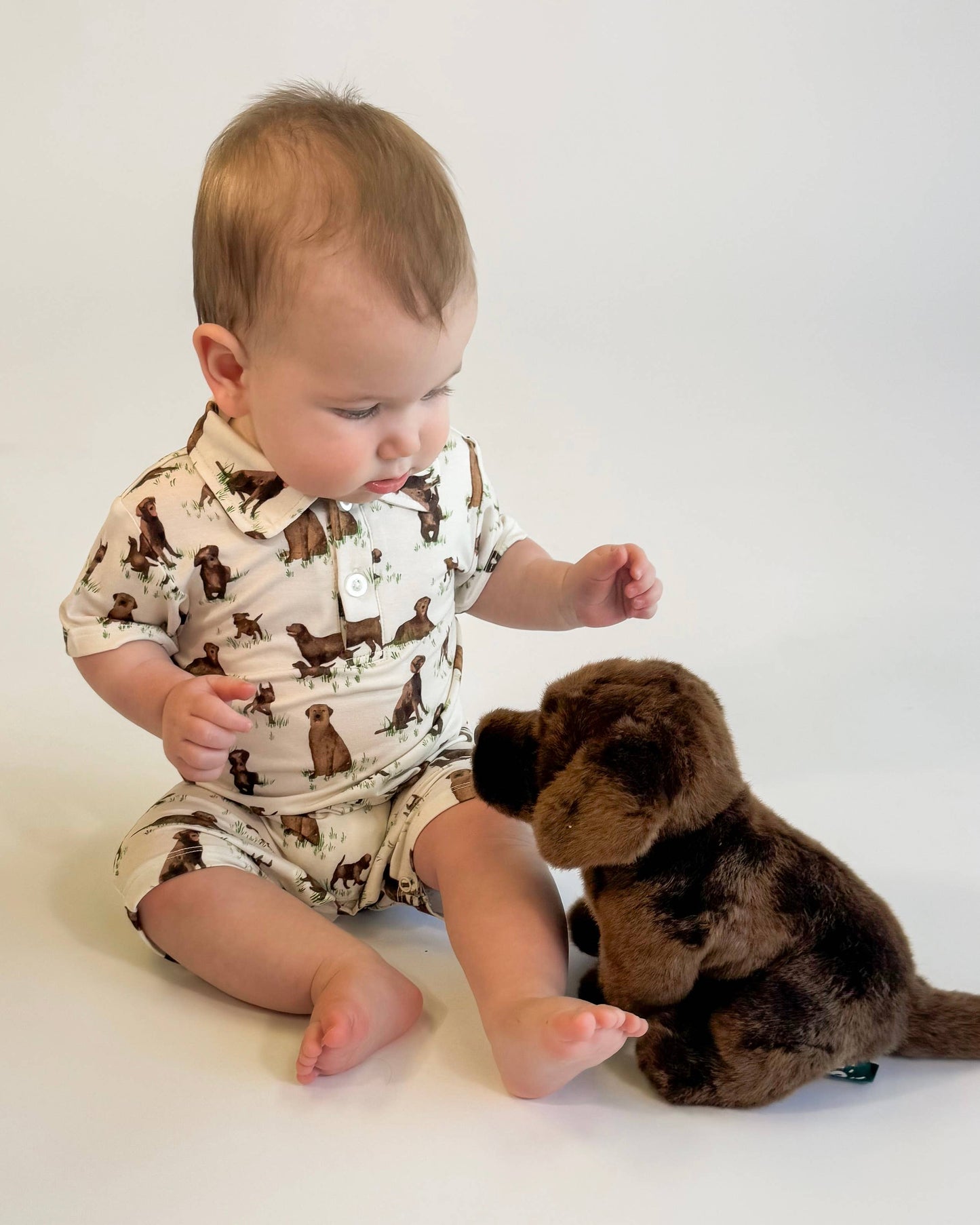 Chocolate Lab Dogs - SS Polo Romper