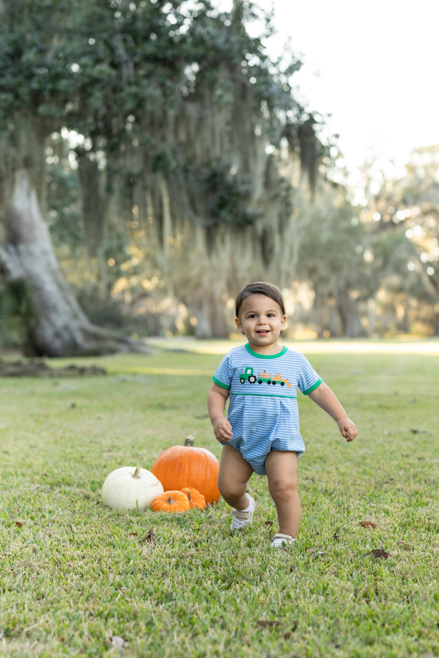 Tractor Trail Pumpkin Bubble