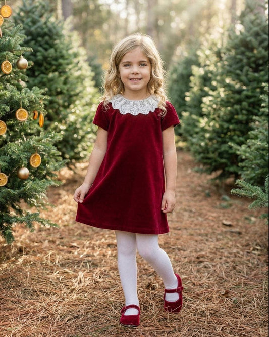Red Velvet Dress with Lace Collar Red