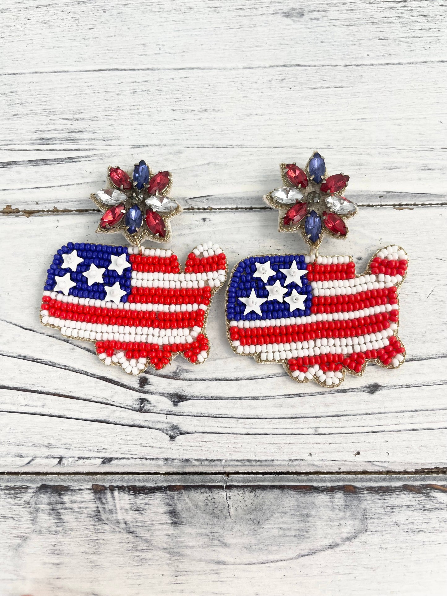 America Shaped Earrings
