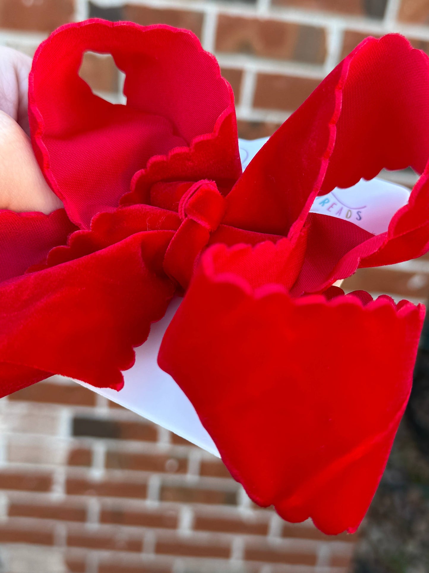Holly Red Velvet Scallop Bows