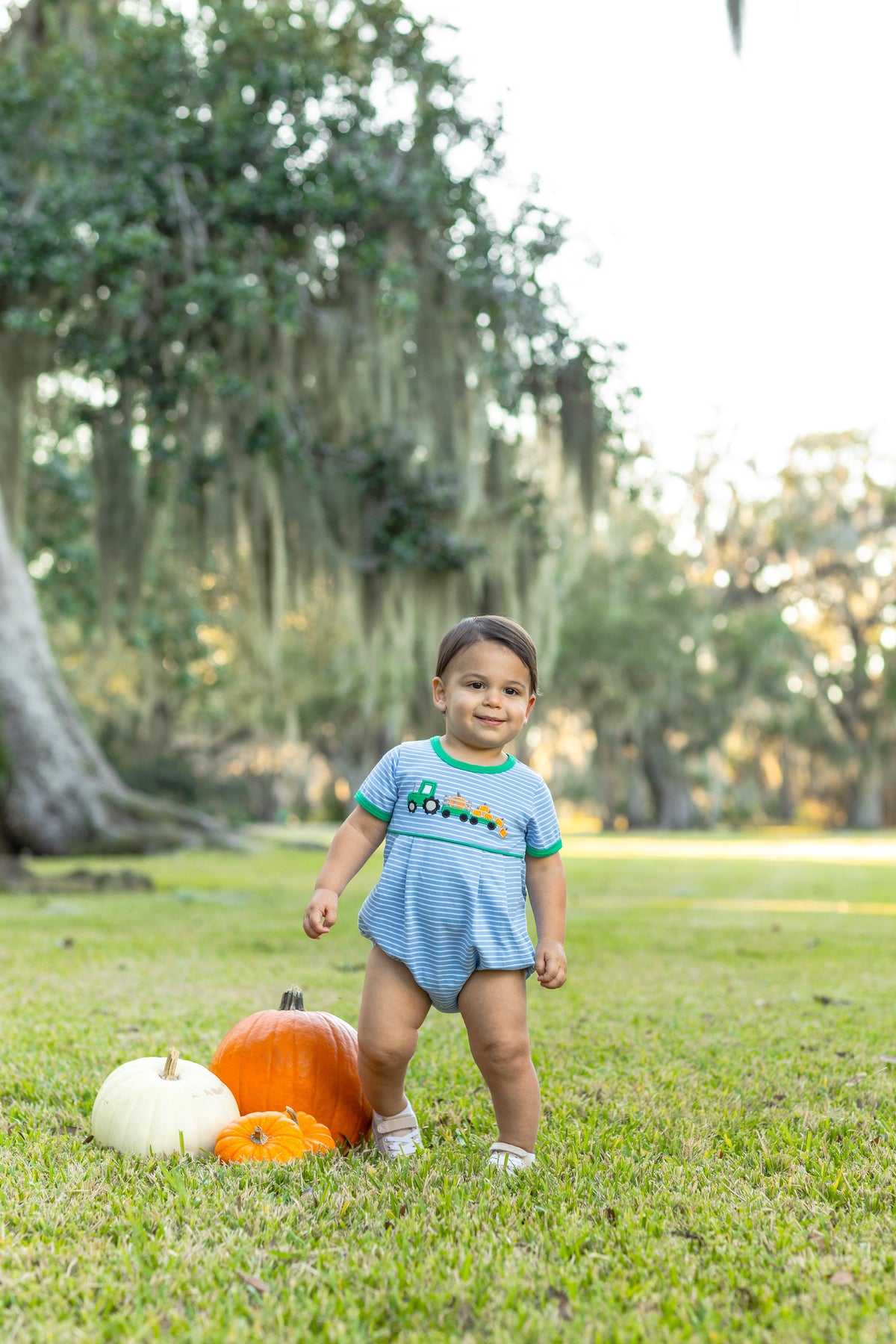 Tractor Trail Pumpkin Bubble