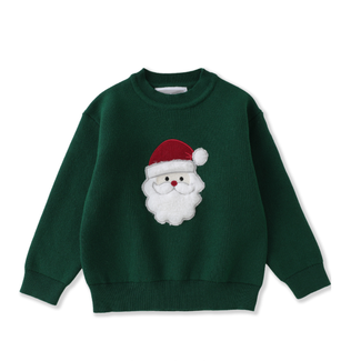 Green Santa Sweater
