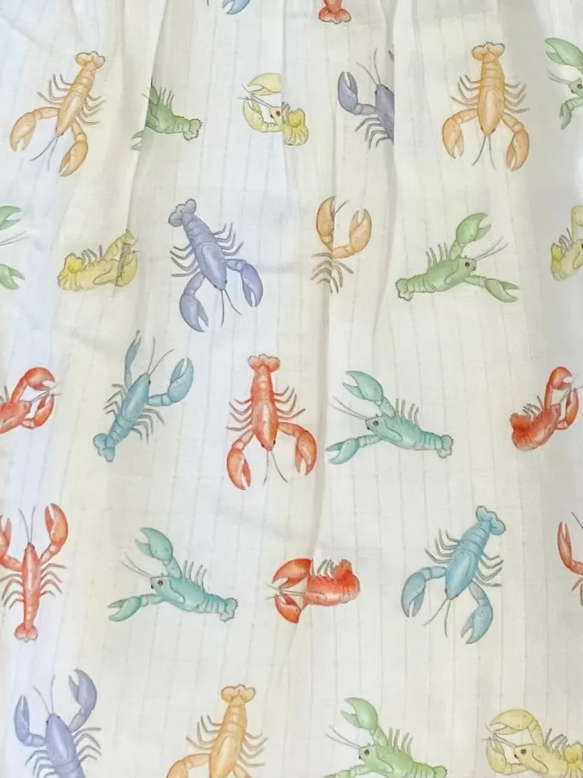 Colorful Claws Organic Muslin Dress