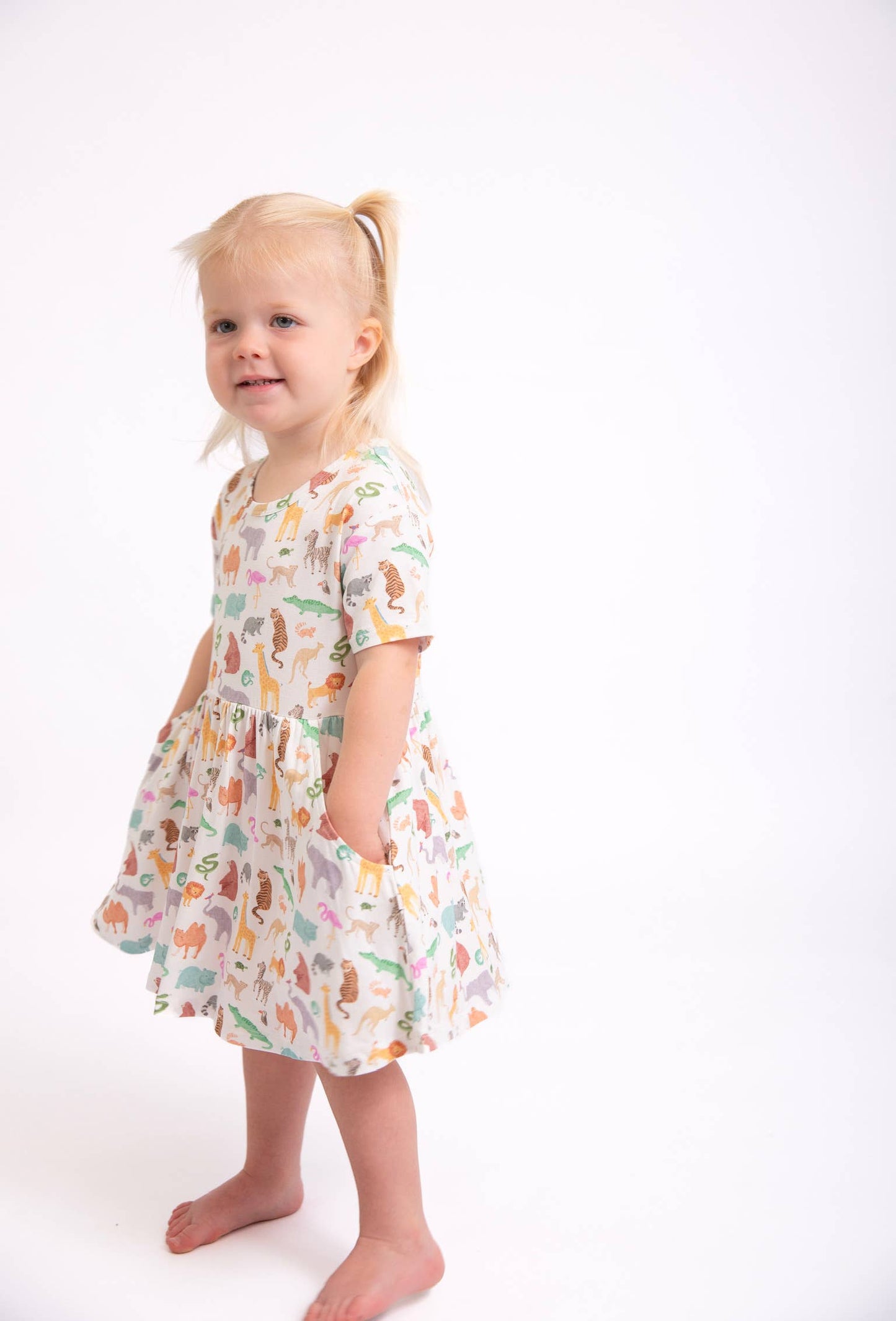 Zoo Crew SS Pocket Dress
